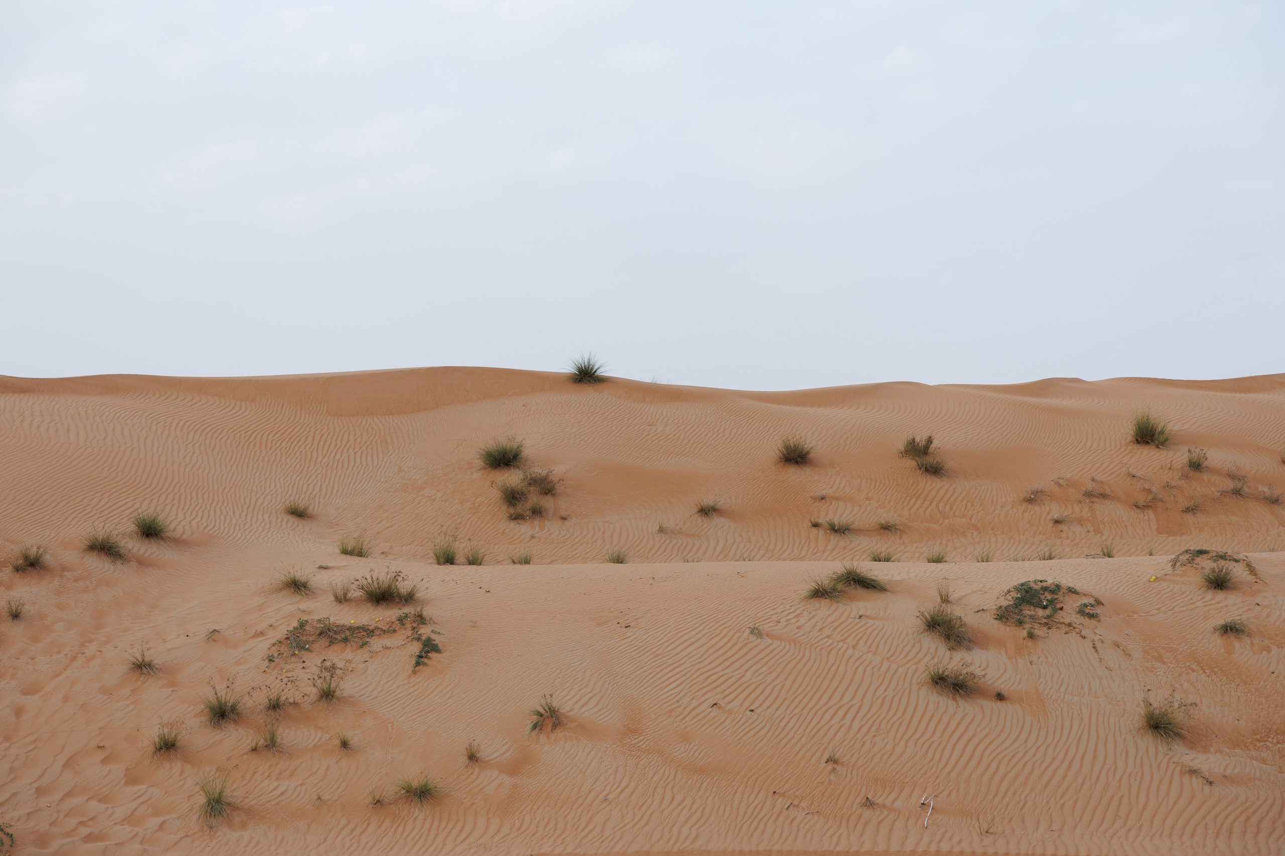 Event Planners in Dubai