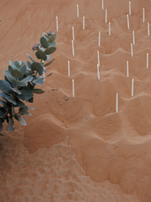 Private Desert Event Dubai - What to Expect and How to Plan One - incircle events - dubai - slide2