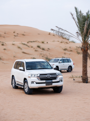 Private Desert Event Dubai - What to Expect and How to Plan One - incircle events - dubai - slide5